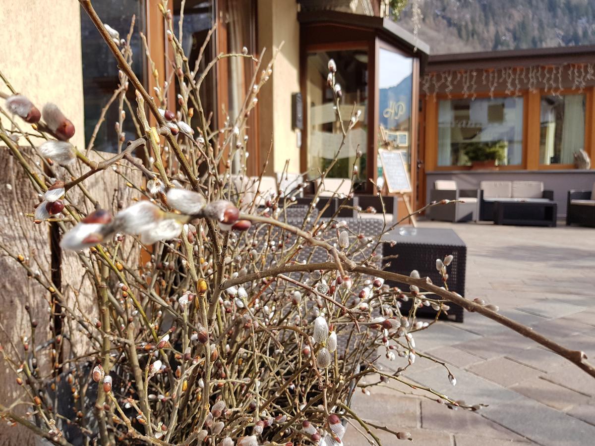 Hotel Pedretti Branzi Esterno foto